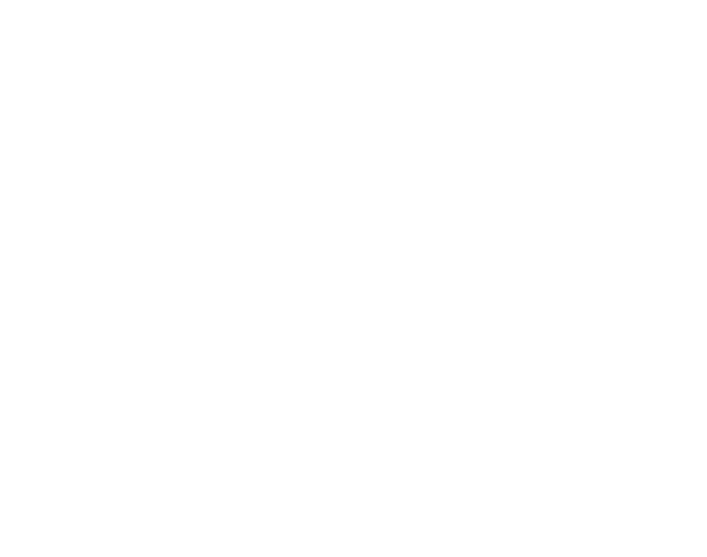 Twoday Studio Mascot